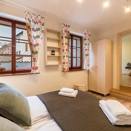 V Kovarne アパート *